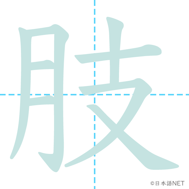 漢字「肢」の書き順