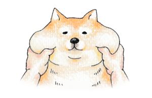 【オノマトペ】モチモチの意味と例文