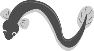 【オノマトペ】ぬるぬるの意味と例文