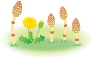 【オノマトペ】にょきにょきの意味と例文