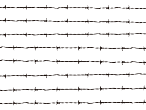 【オノマトペ】とげとげの意味と例文