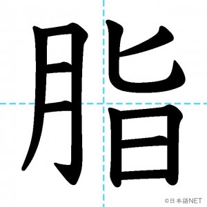 【JLPT N2漢字】「脂」の意味・読み方・書き順