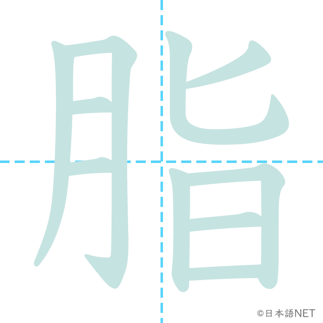 漢字「脂」の書き順