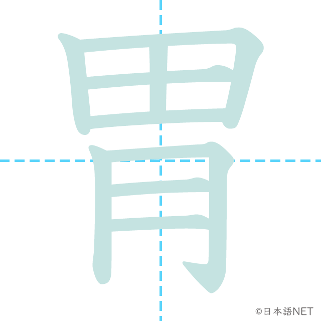 漢字「胃」の書き順