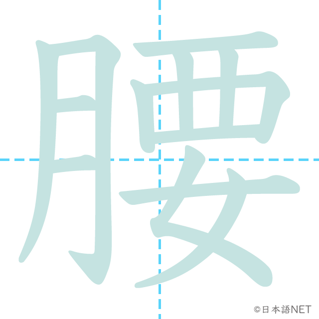 漢字「腰」の書き順