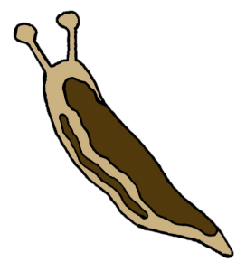 【オノマトペ】ぬめぬめの意味と例文