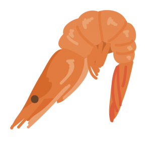 【オノマトペ】ぷりぷりの意味と例文