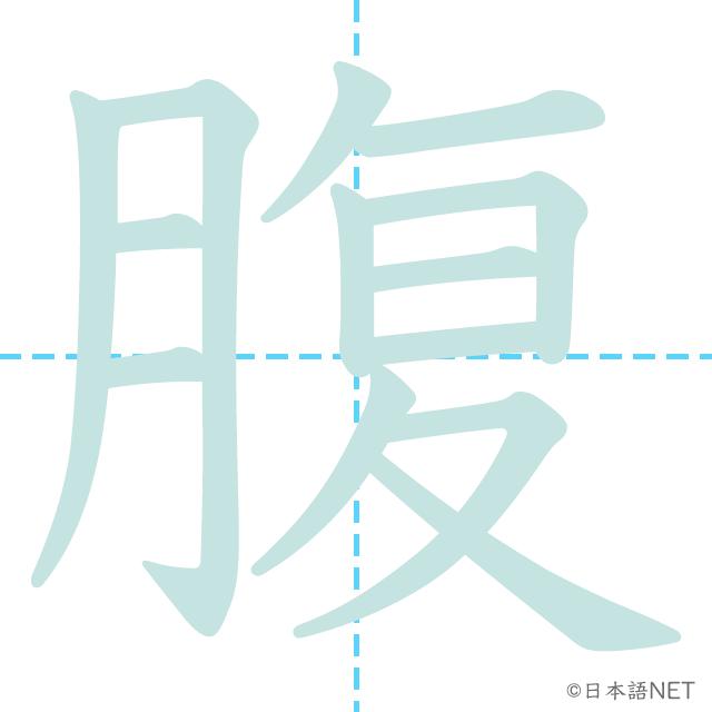 漢字「腹」の書き順