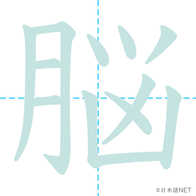 漢字「脳」の書き順