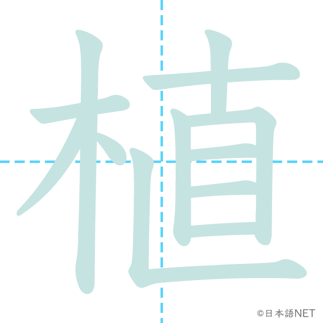 漢字「植」の書き順