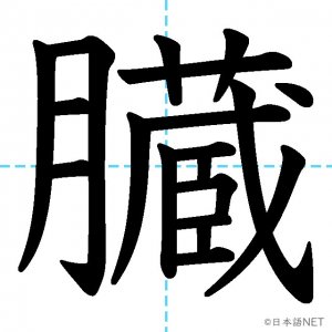 【JLPT N2漢字】「臓」の意味・読み方・書き順