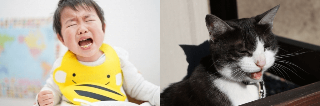 【漢字】「泣く」と「鳴く」の違い・使い分け