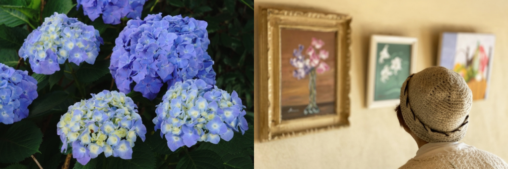 【漢字】「観賞」と「鑑賞」の違い・使い分け