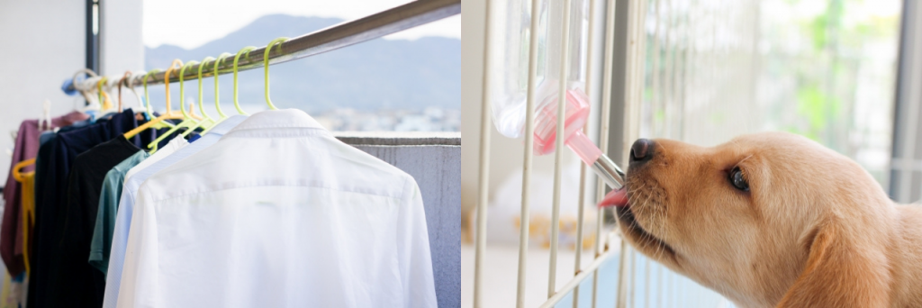 【漢字】「乾く」と「渇く」の違い・使い分け