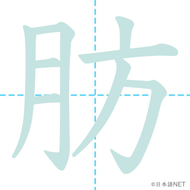 漢字「肪」の書き順