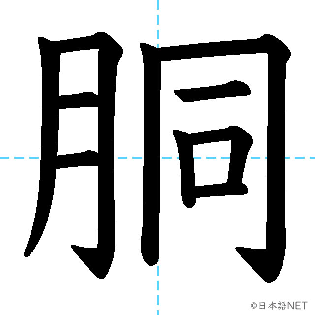 【JLPT N1漢字】「胴」の意味・読み方・書き順