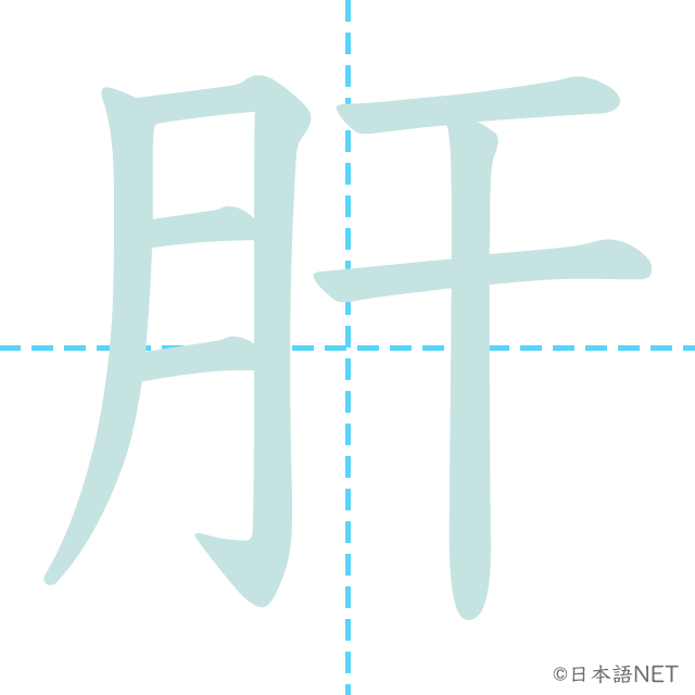 漢字「肝」の書き順