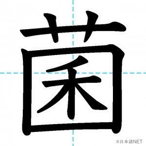 【JLPT N1漢字】「菌」の意味・読み方・書き順
