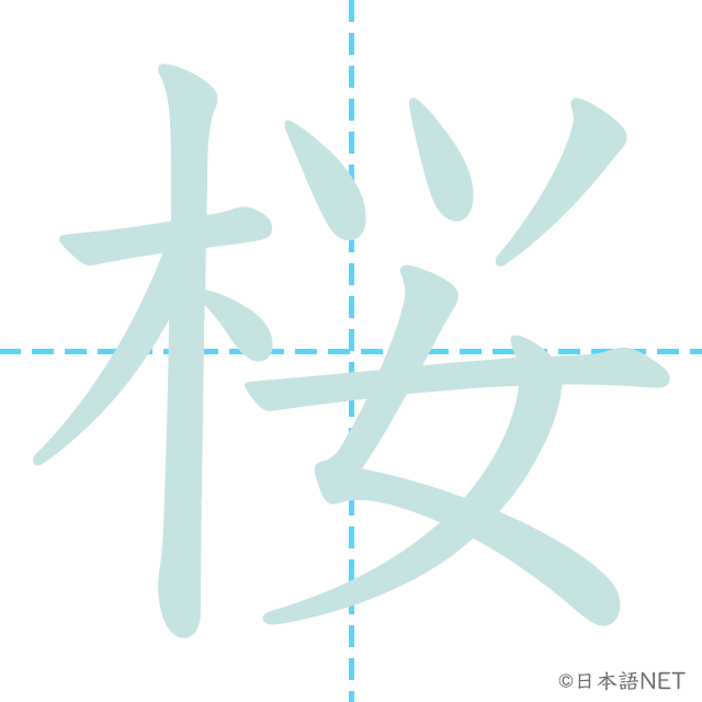 漢字「桜」の書き順