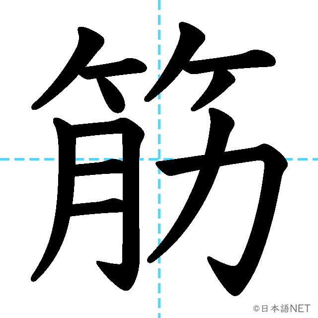 【JLPT N1漢字】「筋」の意味・読み方・書き順