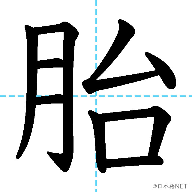 【JLPT N1漢字】「胎」の意味・読み方・書き順
