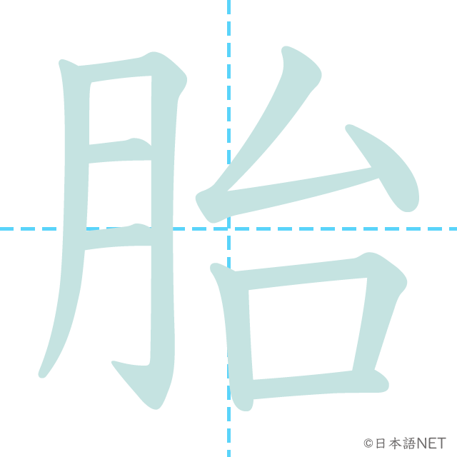 漢字「胎」の書き順