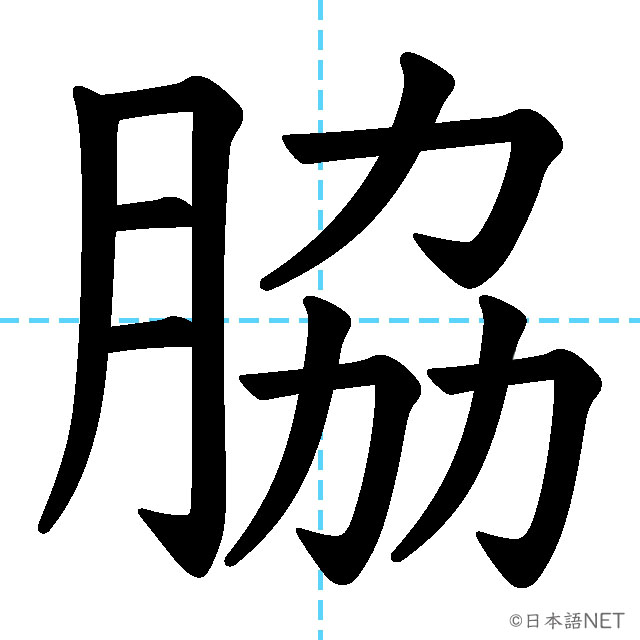 【JLPT N1漢字】「脇」の意味・読み方・書き順