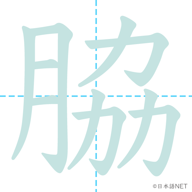 漢字「脇」の書き順