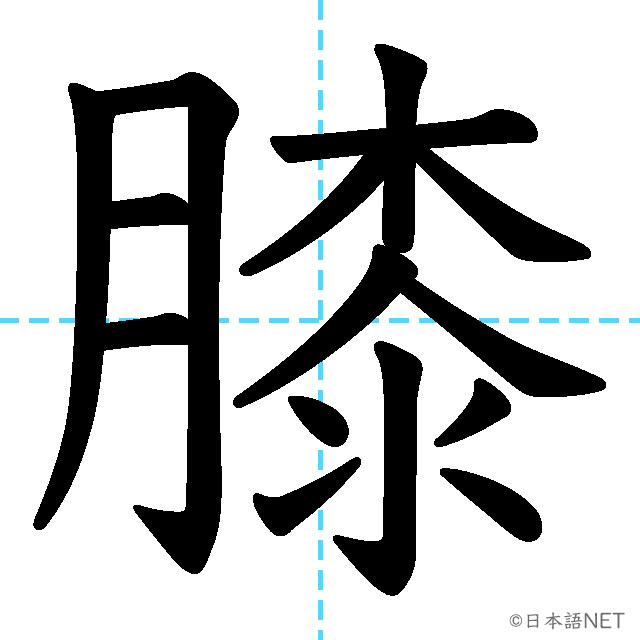 【JLPT N1漢字】「膝」の意味・読み方・書き順