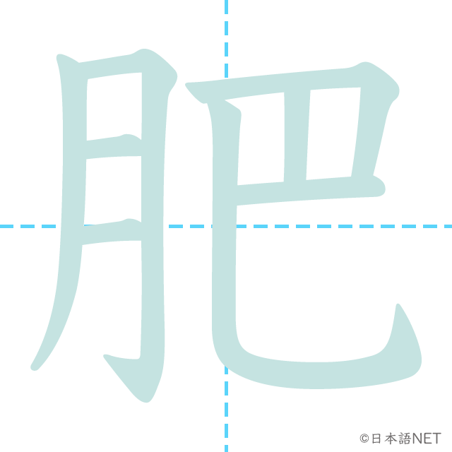 漢字「肥」の書き順