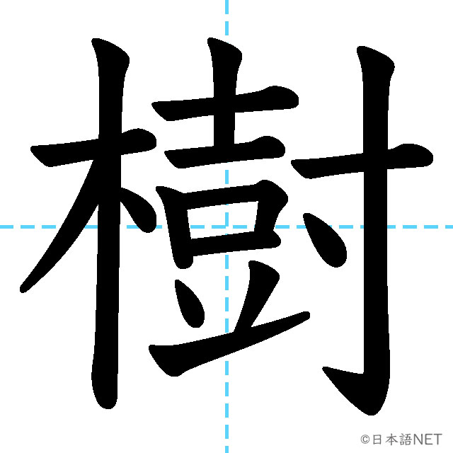 【JLPT N1漢字】「樹」の意味・読み方・書き順
