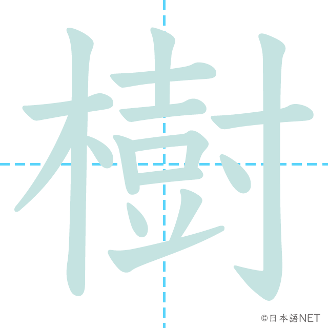 漢字「樹」のか書き順